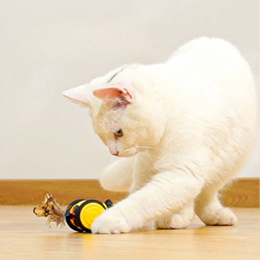 Electric Cat Car Toy