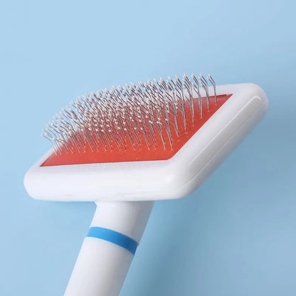 Hair Remover Brush
