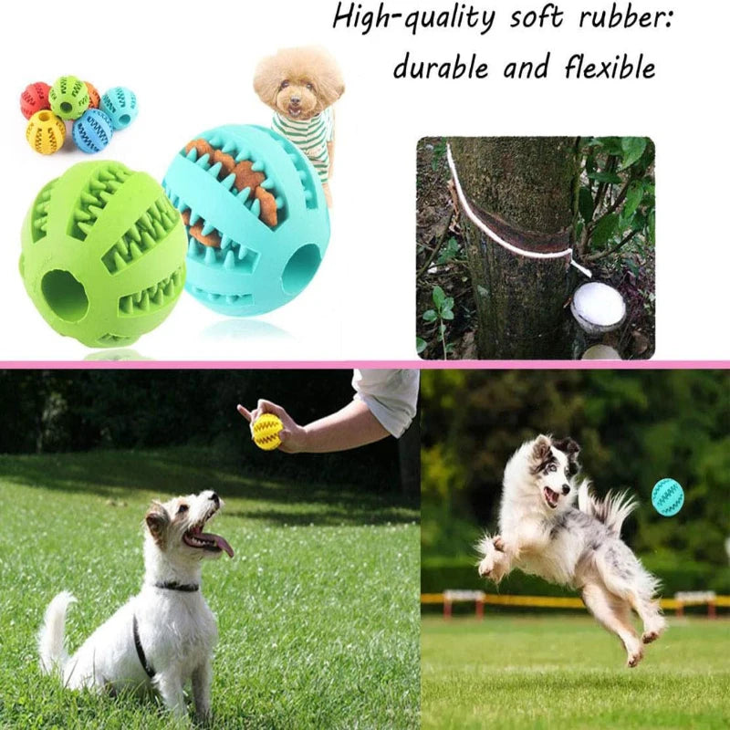 Dog Toy Ball Interactive Rubber Balls