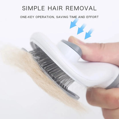 Hair Remover Brush