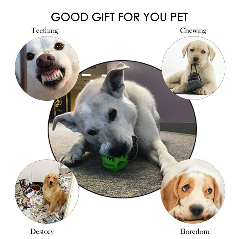 Dog Toy Ball Interactive Rubber Balls