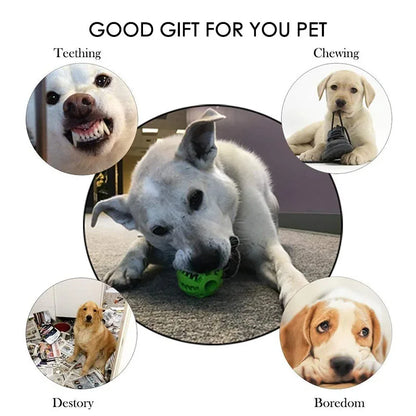 Dog Toy Ball Interactive Rubber Balls